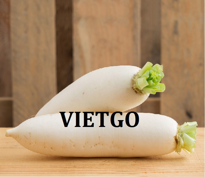 VIETGO-xuat-khau-củ-cải- trắng-Ấn-Ketan